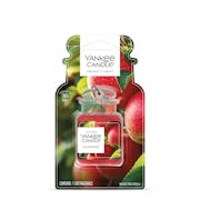 Macintosh