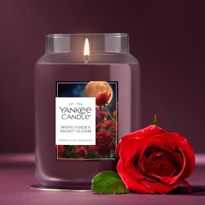 MidSummer's Night® Bloom
