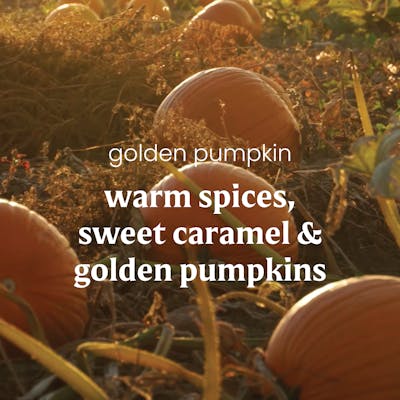 https://yankeecandle.imgix.net/a5ff775e-f149-3b1f-8f65-c9e4f98552a2/a5ff775e-f149-3b1f-8f65-c9e4f98552a2.jpg